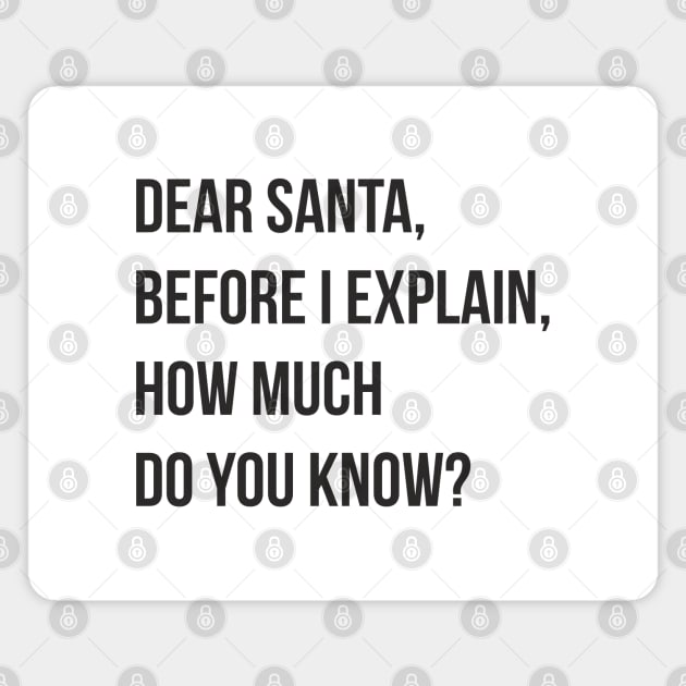 DEAR SANTA BEFORE I EXPLAIN HOW MUCH DO YOU KNOW Magnet by Bombastik